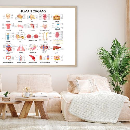 Human Body Organs Print 100% Australian Made 120x90cm (Poster ...