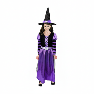 More Than Party Girls Purple Witch Costume Halloween Dress With Pointed Hat 6-9y