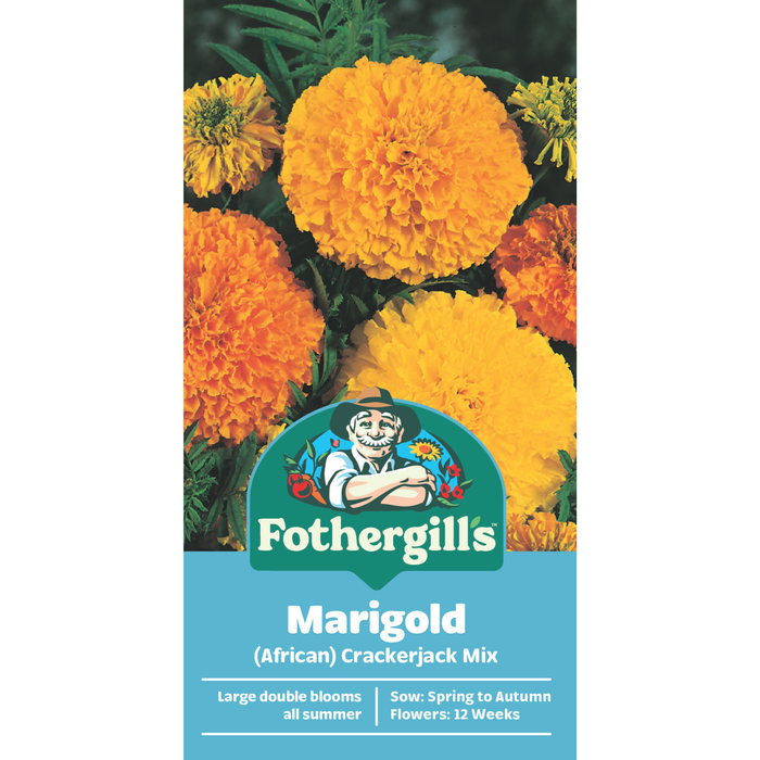 Fothergill's Marigold Crackerjack Flower Seeds