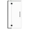 Stein 1000 x 2000mm Black Project Shower - Door Only