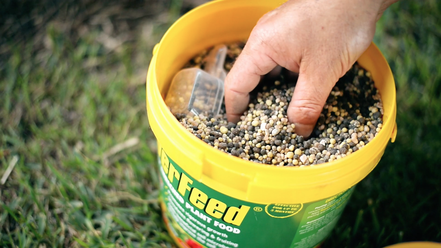 Close up of hand in a pot of Power Feed fertiliser
