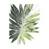 Artey | Expressive Palm I - Stretched Canvas - Stretched Canvas - 112 x 150cm