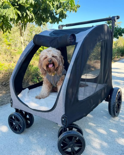 Pawz Foldable 4-Wheel Pet Stroller 50KG Grey