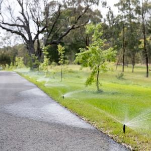 A grassy area with several sprinklers actively watering the lawn.