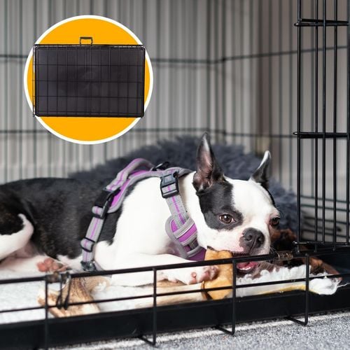 4Paws Dog Cage Pet Crate Cat Puppy Metal Cage ABS Tray Foldable Portable 24 Black Bunnings Australia