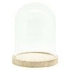 Boyle Glass Cloche with Wooden Base