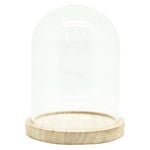 Boyle Glass Cloche with Wooden Base