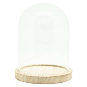 Boyle Glass Cloche with Wooden Base