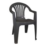 Taurus Charcoal Resin Chair