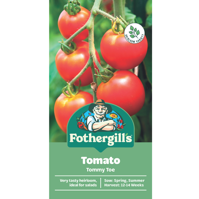 Fothergill's Tommy Toe Tomato Heirloom Seeds