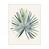 Artey | Green Papyrus I - Stretched Canvas - Stretched Canvas - 80 x 100cm
