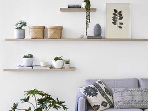 Wall shelves with plants and baskets on them, above a couch.