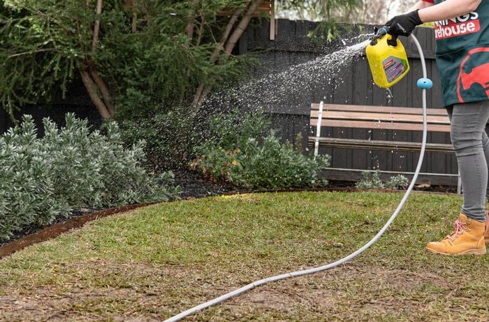 Person using fertiliser on a lawn.