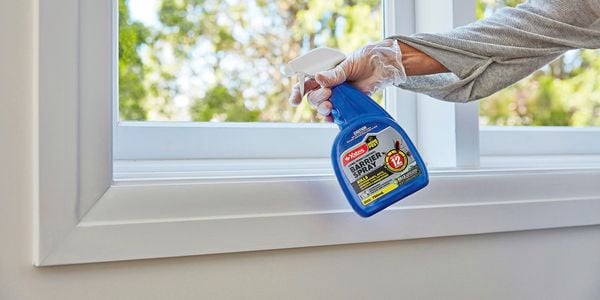 Person spraying bug spray.