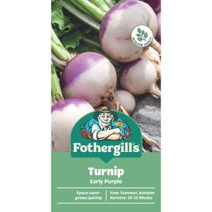Fothergill's Early Purple Turnip Vegetable Seeds