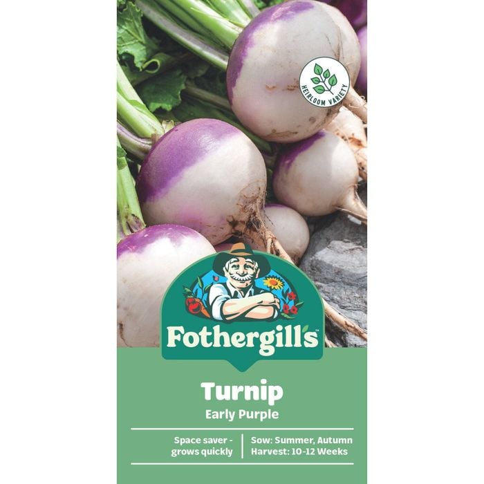 Fothergill's Early Purple Turnip Vegetable Seeds