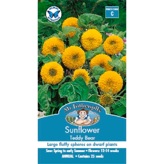 Mr Fothergill's Sunflower Teddy Bear Seeds