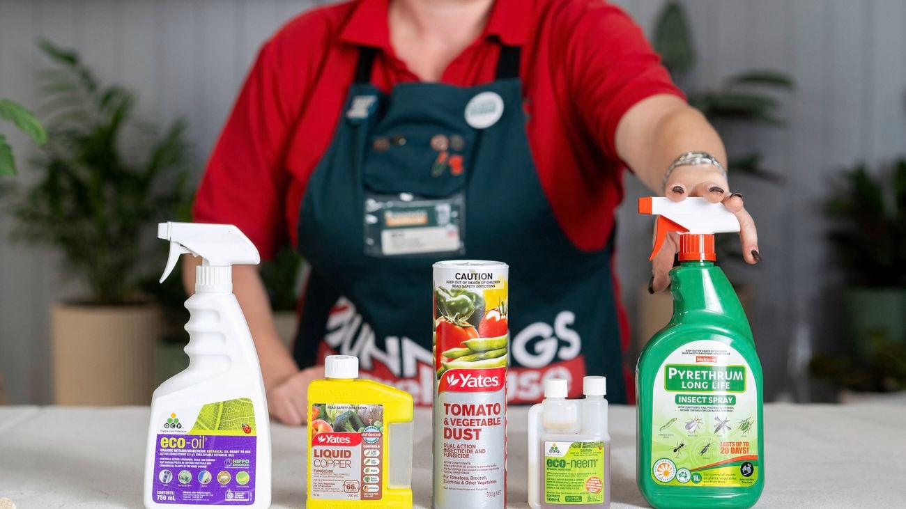 Fungicide and insecticide are placed on the table.