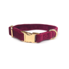 Holly & Co Queen Bee Small Red Premium Velvet Dog Collar