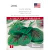 Johnsons Seed Amaranthus Calaloo Red Leaf World Kitchen