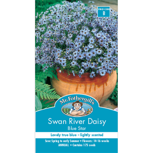 Mr Fothergill's Swan River Daisy Blue  Flower Seeds