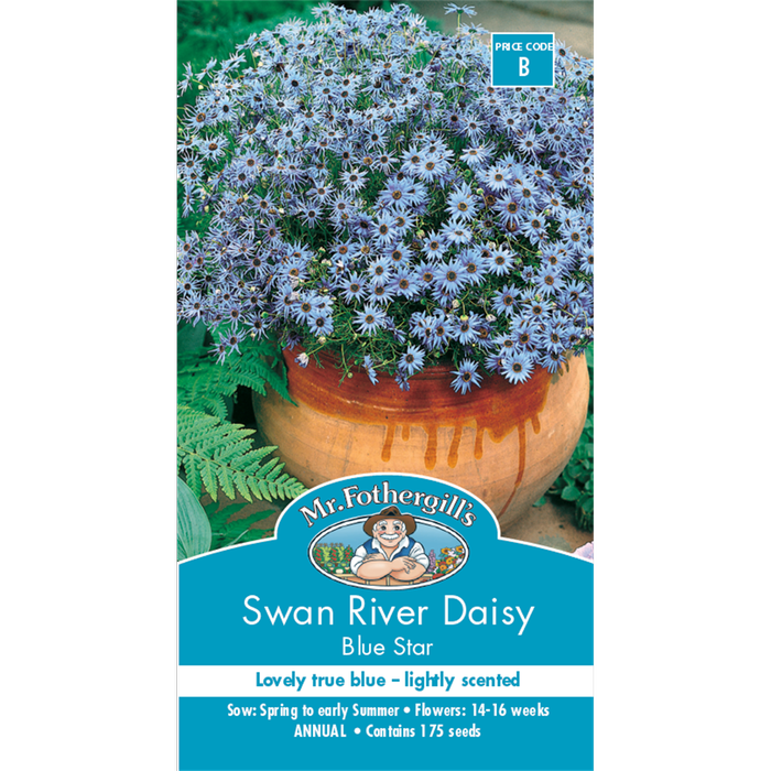 Mr Fothergill's Swan River Daisy Blue  Flower Seeds