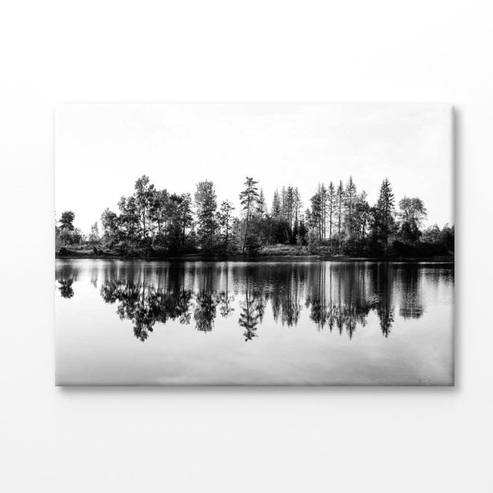 Trees near Lake B&W Scenery View Print 100% Australian Made 180x120cm (Stretched Canvas)