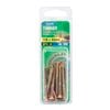 Zenith 10G x 50mm Gold Passivated Timber Countersunk Head Screw - 16 Pack