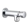 Shaw & Mason Chrome Timed Push Button Wall Mounted Bib Tap WELS 6 Star 5L/Min
