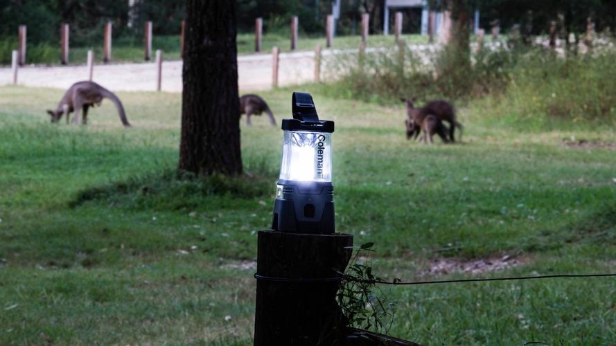 Coleman Easy Hang Lantern in the Australian Bush