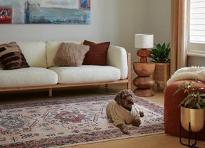 Lounge room with a white couch, rugh painting on the wall and a small dog on the ground.
