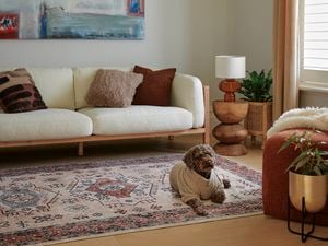 Lounge room with a white couch, rugh painting on the wall and a small dog on the ground.