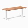 Desky Dual Melamine Sit Stand Desk White Frame 180cm