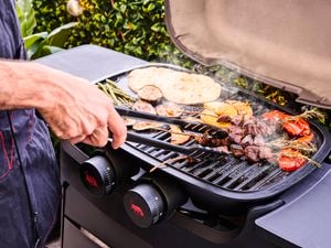 A person cooking meat and veggies on a BBQ.