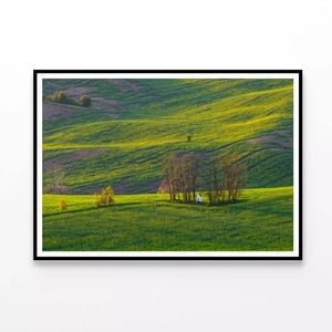 Person Sitting In a Meadow  Print 100% Australian Made 120x90cm  (Poster)