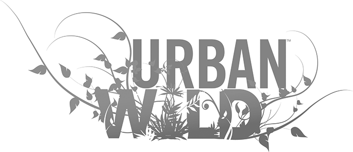 URBAN WILD