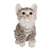Northcote Pottery 12 x 15.5cm Ralph the Kitten Statue