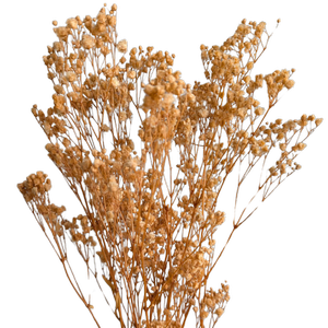 Blooms of Joy 60cm Peach Babies Breath 4 Piece