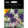 Johnsons World Botanics Platycodon - Balloon Flower Mix Seeds