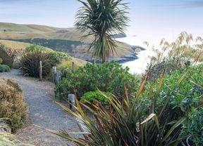 A gravel path surrounded by dense, hardy plants and wooden posts, leading towards a hilly landscape under a blue sky.
