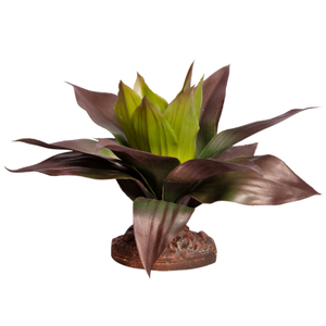 Reptile One Plant Medium Spathacea Green Red W/ Ceramic Base 23cm (46844)