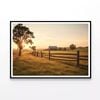 A Serene Farm Scene at Sunset  Print 100% Australian Made 90x60cm  (Poster)