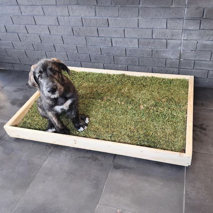 Artificial Turf Real Grass Dog Potty Box Diy Artificial Turf Best