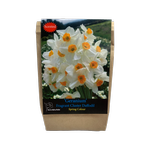 Yarra Valley Bulbs Daffodil Geranium Bulbs - 4 Pack