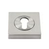 Sylvan Euro Escutcheon Round Satin Nickel Plate