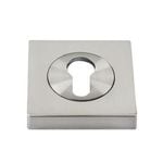 Sylvan Euro Escutcheon Round Satin Nickel Plate