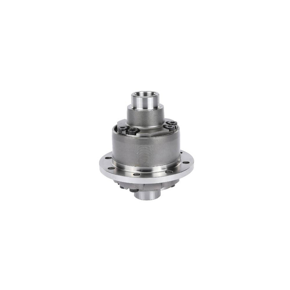 LSD Diff Differential for Ford LTD DL 4.0L 5.0L 1996-1999 - Bunnings ...