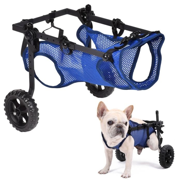 Advwin Little Dog Wheelchair for Back Legs Mobility Support Lightweight Pet Wheelchair