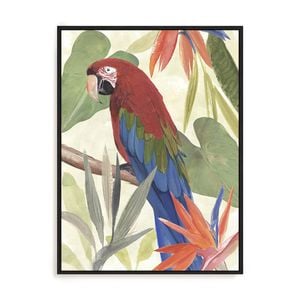 Artey | Tropical Parrot Composition III - Framed Canvas - Black Frame - 60 x 80cm