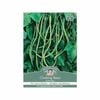 Mr Fothergill's Snake Bean